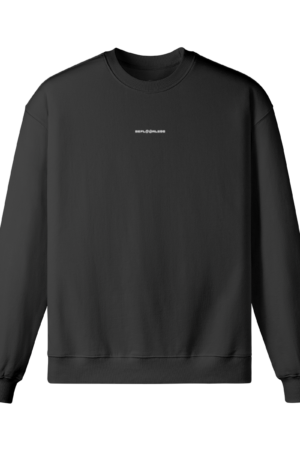 Get Corrected Embroidered Sweatshirt